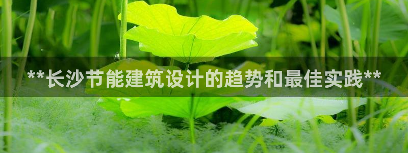e尊国际平台：**长沙节能建筑设计的趋势和最佳实践**