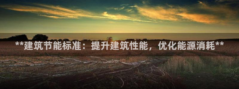 e尊国际地址：**建筑节能标准：提升建筑性能，优化能源消耗**