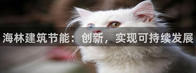 e尊国际可靠吗：海林建筑节能：创新，实现可持续发展