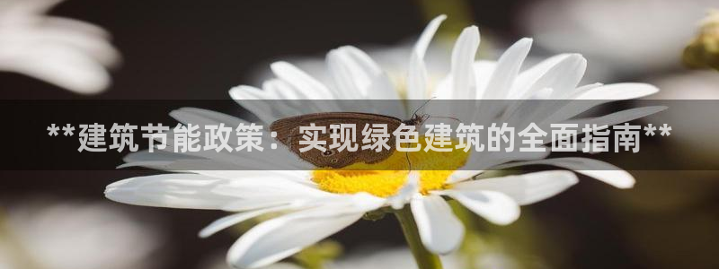 尊亿游戏国际官网：**建筑节能政策：实现绿色建筑的全面指南**