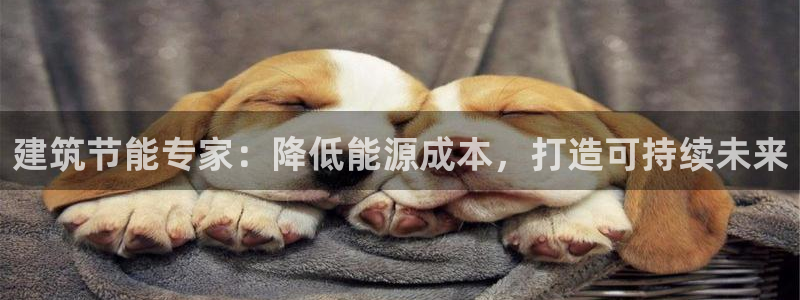 e尊国际平台：建筑节能专家：降低能源成本，打造可持续未来