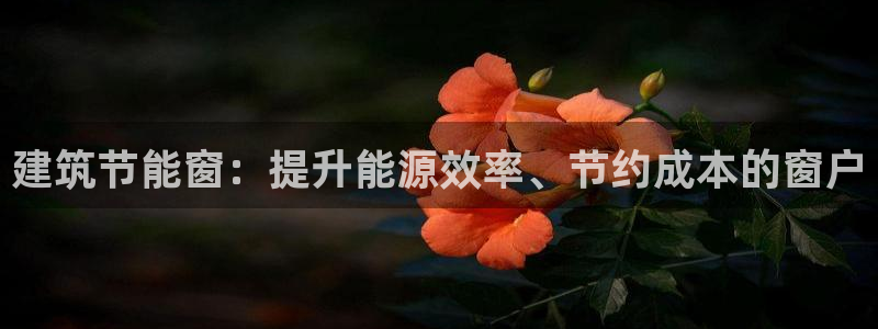 e尊国际网址：建筑节能窗：提升能源效率、节约成本的窗户
