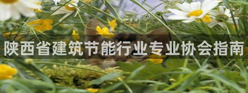 e尊国际客服：陕西省建筑节能行业专业协会指南