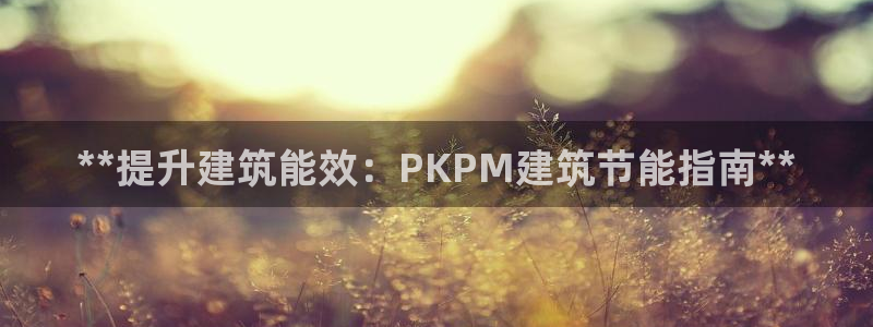 e尊国际官方网站：**提升建筑能效：PKPM建筑节能指南**