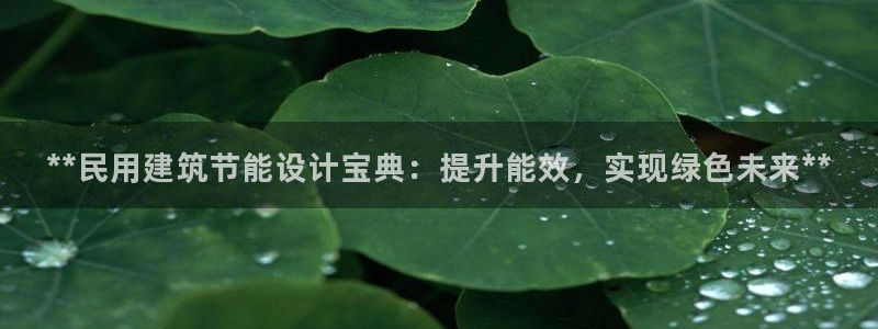 e尊国际娱乐官网下载：**民用建筑节能设计宝典：提升能效，实现绿色未来**