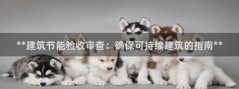 e尊电竞：**建筑节能验收审查：确保可持续建筑的指南**
