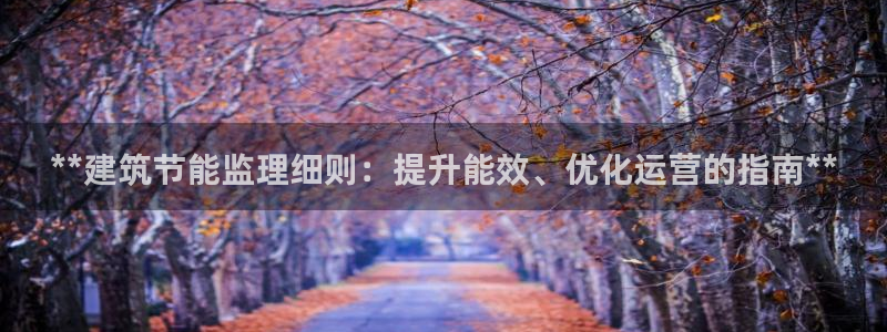 e尊国际是干什么的：**建筑节能监理细则：提升能效、优化运营的指南**