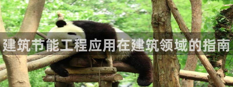 E尊国际：建筑节能工程应用在建筑领域的指南