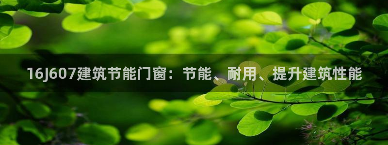 尊亿娱乐国际官网：16J607建筑节能门窗：节能、耐用、提升建筑性能
