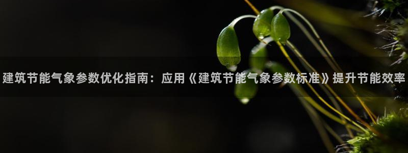 e尊国际-可可计划：建筑节能气象参数优化指南：应用《建筑节能气象参数标准》提升节能效率