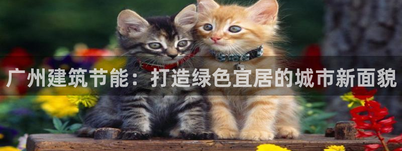 e尊国际是个黑网：广州建筑节能：打造绿色宜居的城市新面貌