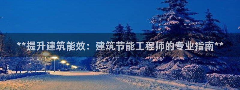 e尊国际-e尊国际官网：**提升建筑能效：建筑节能工程师的专业指南**