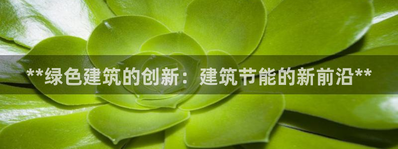 e尊国际是干什么的：**绿色建筑的创新：建筑节能的新前沿**