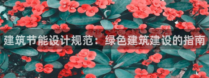 谁知道e尊国际的网址：建筑节能设计规范：绿色建筑建设的指南