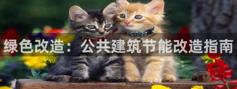 e尊国际是干什么的：绿色改造：公共建筑节能改造指南