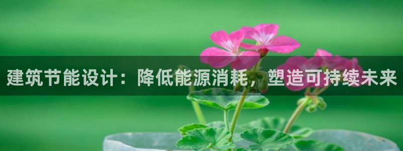 e尊国际官网app：建筑节能设计：降低能源消耗，塑造可持续未来
