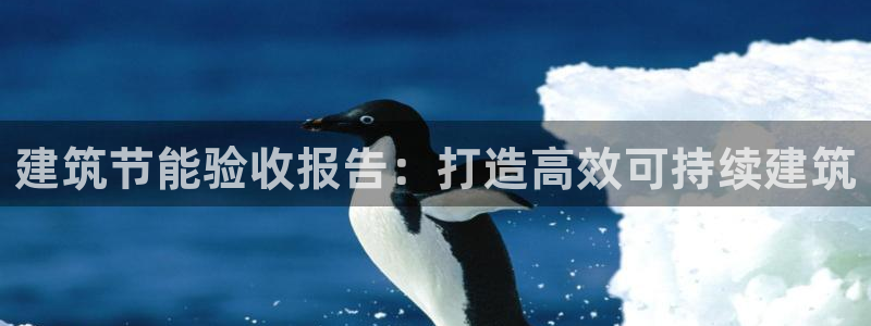 e尊国际官网：建筑节能验收报告：打造高效可持续建筑