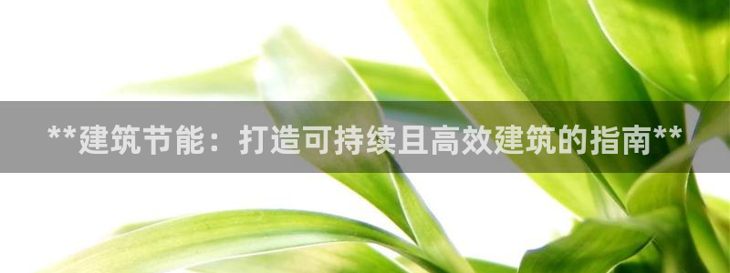 E尊国际：**建筑节能：打造可持续且高效建筑的指南**