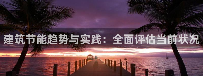 谁知道e尊国际的网址：建筑节能趋势与实践：全面评估当前状况
