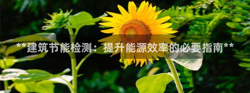 e尊体育：**建筑节能检测：提升能源效率的必要指南**