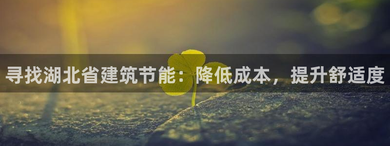 e尊国际-e尊国际官网：寻找湖北省建筑节能：降低成本，提升舒适度