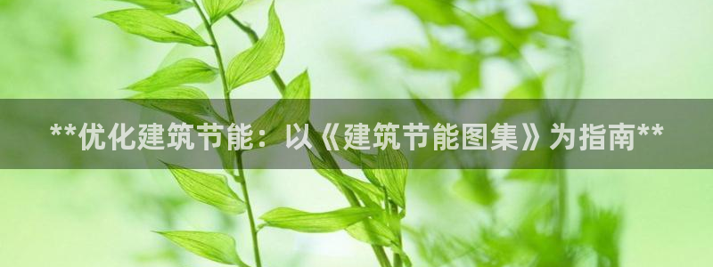 谁知道e尊国际的网址：**优化建筑节能：以《建筑节能图集》为指南**