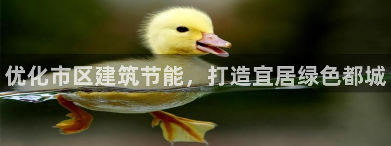 e尊国际可靠吗：优化市区建筑节能，打造宜居绿色都城