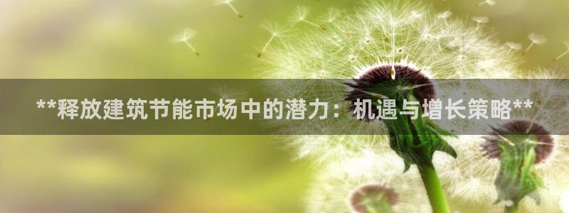 谁知道e尊国际的网址：**释放建筑节能市场中的潜力：机遇与增长策略**