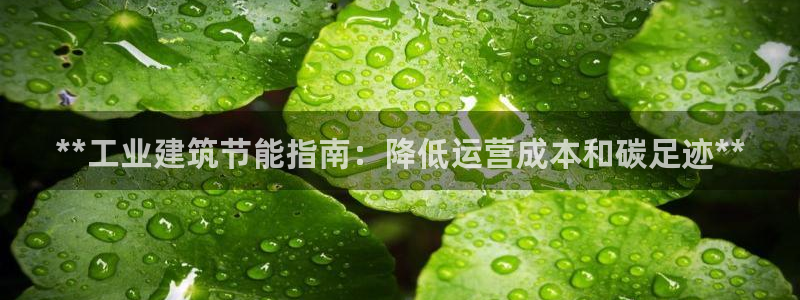 e尊国际app：**工业建筑节能指南：降低运营成本和碳足迹**