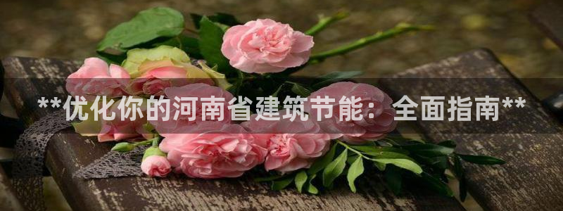 e尊国际网址：**优化你的河南省建筑节能：全面指南**