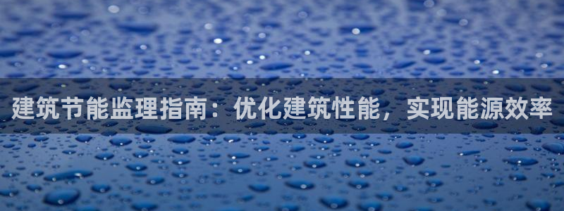 谁知道e尊国际的网址：建筑节能监理指南：优化建筑性能，实现能源效率