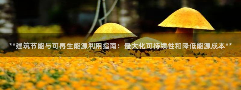 e尊国际可靠吗：**建筑节能与可再生能源利用指南：最大化可持续性和降低能源成本**