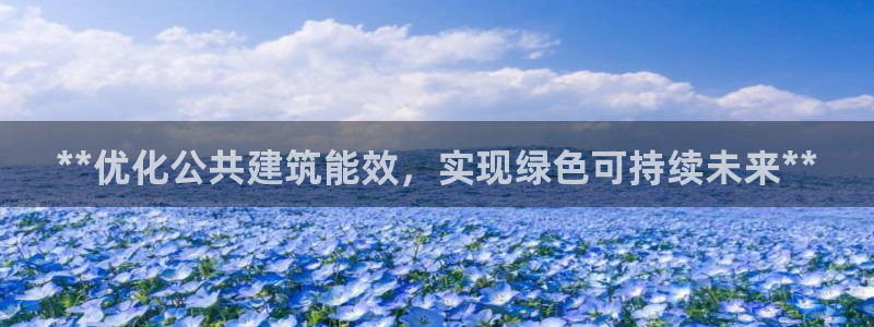 e尊国际是干什么的：**优化公共建筑能效，实现绿色可持续未来**