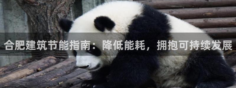 尊亿娱乐国际官网：合肥建筑节能指南：降低能耗，拥抱可持续发展
