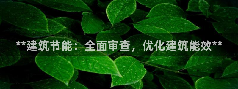 E尊国际：**建筑节能：全面审查，优化建筑能效**