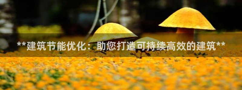 e尊国际官网：**建筑节能优化：助您打造可持续高效的建筑**
