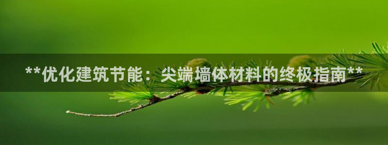 e尊平台：**优化建筑节能：尖端墙体材料的终极指南**