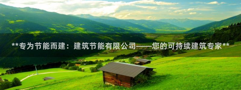 e尊国际平台：**专为节能而建：建筑节能有限公司——您的可持续建筑专家**