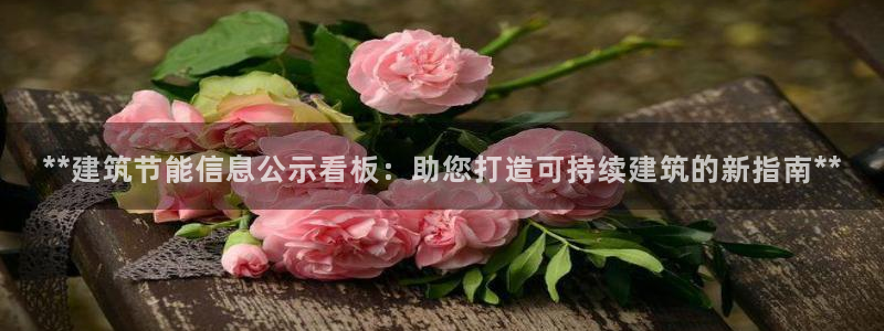 e尊国际平台：**建筑节能信息公示看板：助您打造可持续建筑的新指南**