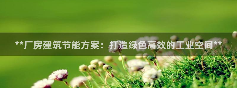 尊亿娱乐国际官网：**厂房建筑节能方案：打造绿色高效的工业空间**