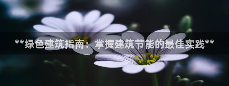 e尊国际官方网站：**绿色建筑指南：掌握建筑节能的最佳实践**