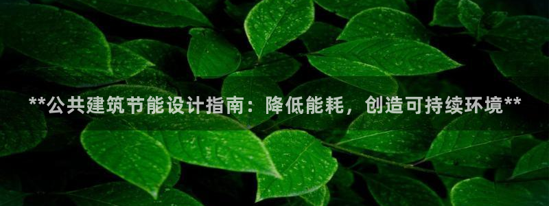 e尊国际可靠吗：**公共建筑节能设计指南：降低能耗，创造可持续环境**