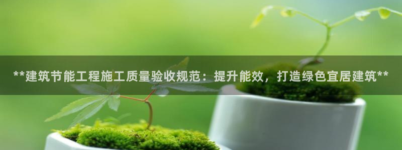 e尊电竞：**建筑节能工程施工质量验收规范：提升能效，打造绿色宜居建筑**