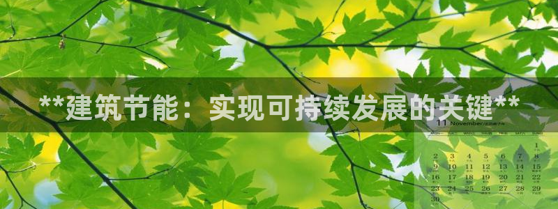 e尊体育：**建筑节能：实现可持续发展的关键**