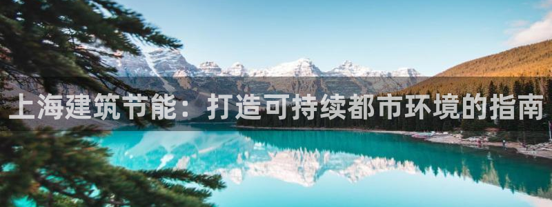 e尊国际平台：上海建筑节能：打造可持续都市环境的指南