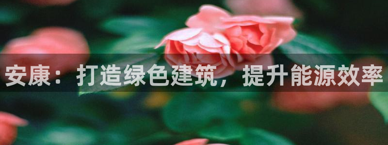 E尊国际网站：安康：打造绿色建筑，提升能源效率