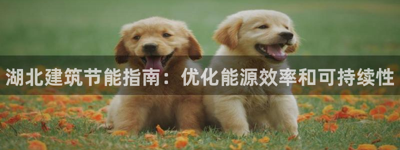 e尊国际官网：湖北建筑节能指南：优化能源效率和可持续性