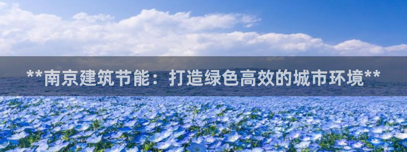 E尊国际网站：**南京建筑节能：打造绿色高效的城市环境**