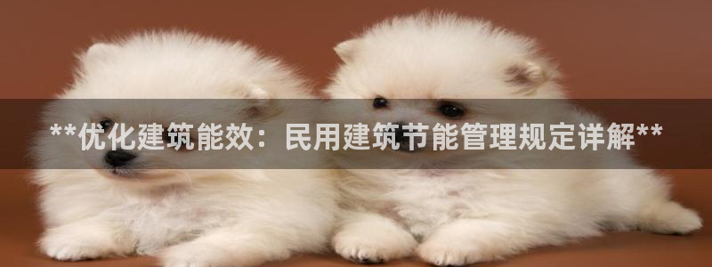e尊官网：**优化建筑能效：民用建筑节能管理规定详解**