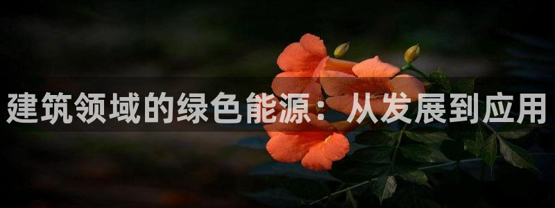 e尊平台：建筑领域的绿色能源：从发展到应用